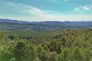 832 Scenic Mountain View Rd, Blue Ridge, GA 30513 - Photo 48