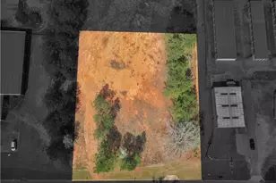 0 County Farm Rd, Zebulon, GA 30295 - Photo 1