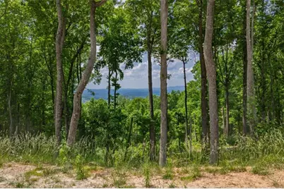 Lt 411 Calloway Mountain Road, Talking Rock, GA 30175 - Photo 4