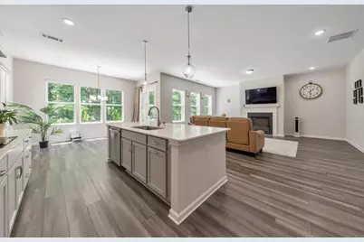265 Birchwood Row, Holly Springs, GA 30115 - Photo 10