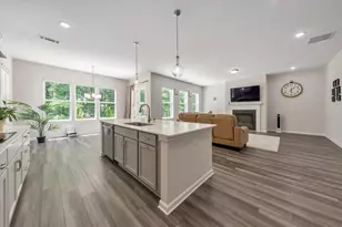 265 Birchwood Row, Holly Springs, GA 30115 - Photo 10