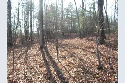 0 Mount Pleasant Church Road, Cleveland, GA 30528 - Photo 6