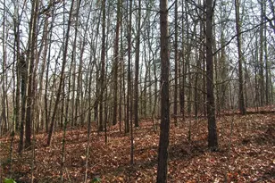 0 Mount Pleasant Church Rd, Cleveland, GA 30528 - Photo 1