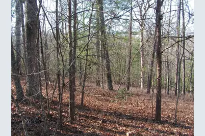 0 Mount Pleasant Church Road, Cleveland, GA 30528 - Photo 2