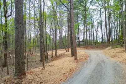 7950 Lotus Walk, Cumming, GA 30041 - Photo 12