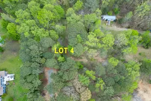 7950 Lotus Walk, Cumming, GA 30041 - Photo 8