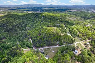 353 Sunrise Rd, Blue Ridge, GA 30513 - Photo 96