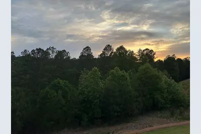 515 Perdue Trail, Canton, GA 30115 - Photo 62