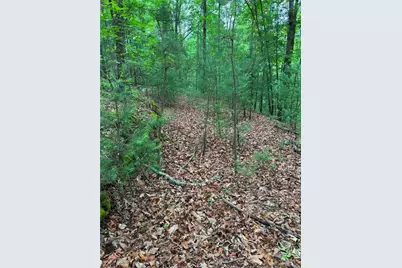 1674A Hunter Drive, Ranger, GA 30734 - Photo 4