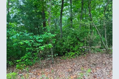 1674A Hunter Drive, Ranger, GA 30734 - Photo 6