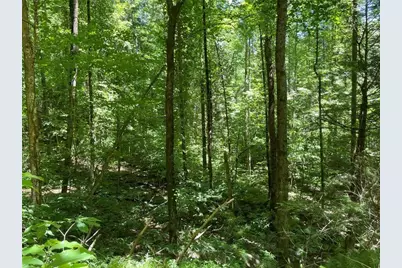 0 Sapulpa Court, Ellijay, GA 30540 - Photo 6