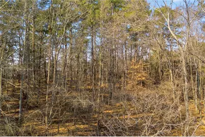 3430 Camp Branch Road, Buford, GA 30519 - Photo 22