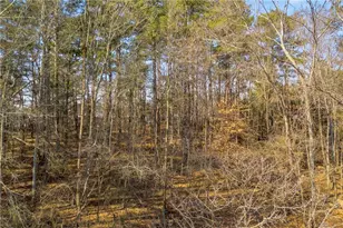 3430 Camp Branch Rd, Buford, GA 30519 - Photo 22