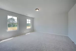 145 Blessing Brk Wy, Locust Grove, GA 30248 - Photo 20