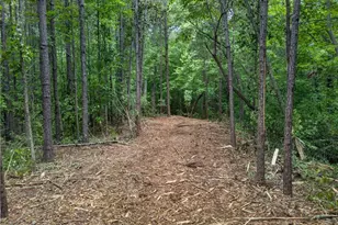 3512 Vinson Mountain Rd, Rockmart, GA 30153 - Photo 48