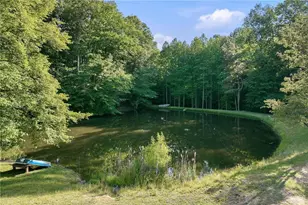 4703 Mount Vernon Roads, Gainesville, GA 30501 - Photo 76