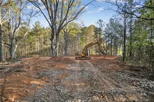 3230 Steadman Rd, Tallapoosa, GA 30176 - Photo 46