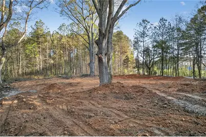 3230 Steadman Road, Tallapoosa, GA 30176 - Photo 38
