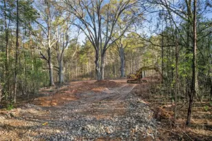 3230 Steadman Rd, Tallapoosa, GA 30176 - Photo 36