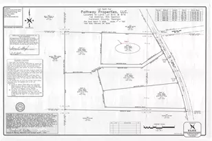 Tract1 Georgia Hwy 100, Buchanan, GA 30113 - Photo 38