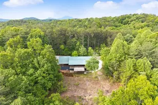707 S Fern Cove Road S, Sautee Nacoochee, GA 30571 - Photo 52