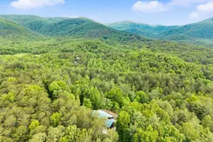 707 S Fern Cove Road S, Sautee Nacoochee, GA 30571 - Photo 48
