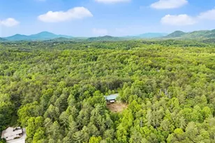 707 S Fern Cove Road S, Sautee Nacoochee, GA 30571 - Photo 60