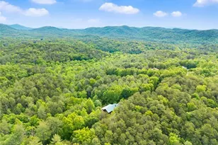707 S Fern Cove Road S, Sautee Nacoochee, GA 30571 - Photo 50