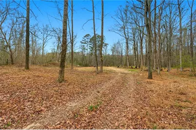1188 Carl Bethlehem Road, Winder, GA 30680 - Photo 20