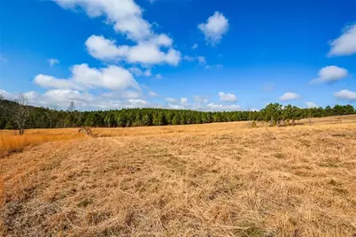 119 Inland Drive 3 Acres, Talking Rock, GA 30175 - Photo 2