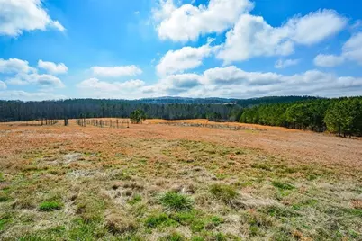 119 Inland Drive 3 Acres, Talking Rock, GA 30175 - Photo 8