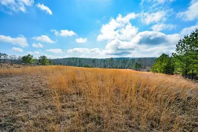 119 Inland Drive 3 Acres, Talking Rock, GA 30175 - Photo 6