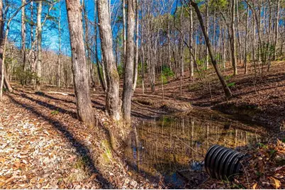 Lot 22 Meadow Brook Trail, Morganton, GA 30560 - Photo 32