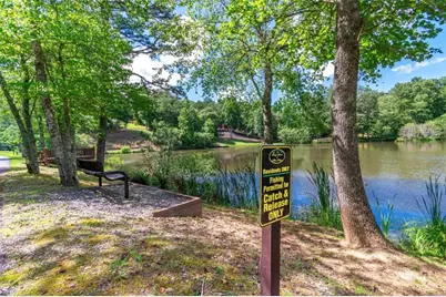 Lot 22 Meadow Brook Trail, Morganton, GA 30560 - Photo 94