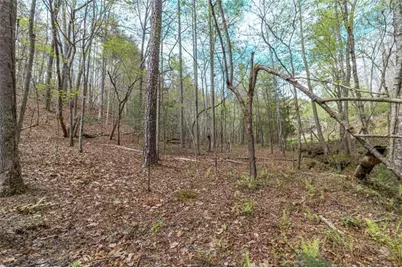 Lot 22 Meadow Brook Trail, Morganton, GA 30560 - Photo 40