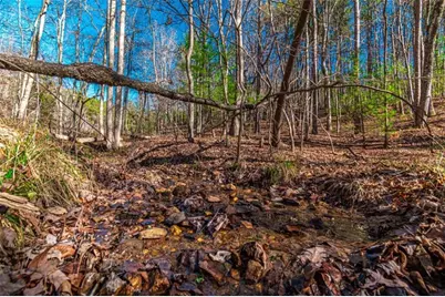 Lot 22 Meadow Brook Trail, Morganton, GA 30560 - Photo 20