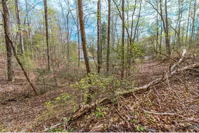 Lot 22 Meadow Brook Trail, Morganton, GA 30560 - Photo 50