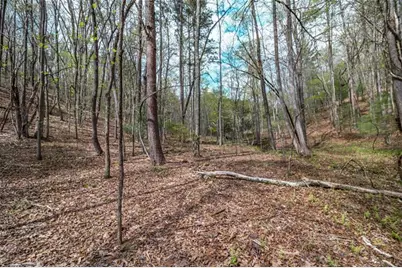 Lot 22 Meadow Brook Trail, Morganton, GA 30560 - Photo 38