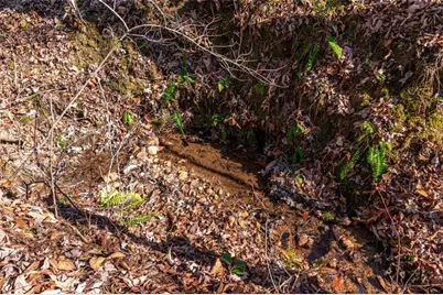 Lot 22 Meadow Brook Trail, Morganton, GA 30560 - Photo 30