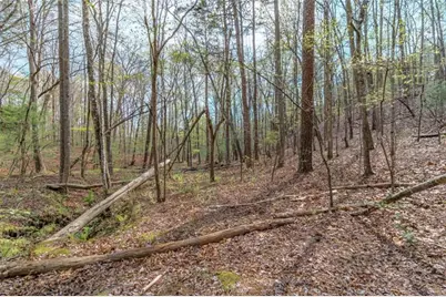 Lot 22 Meadow Brook Trail, Morganton, GA 30560 - Photo 44