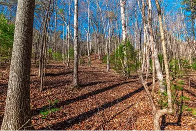 Lot 22 Meadow Brook Trail, Morganton, GA 30560 - Photo 18