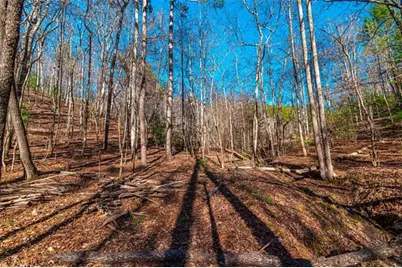 Lot 22 Meadow Brook Trail, Morganton, GA 30560 - Photo 12