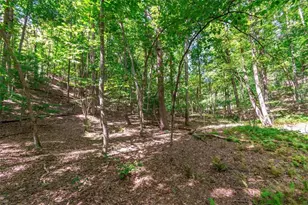 Lot 22 Meadow Brook Trail, Morganton, GA 30560 - Photo 1