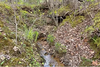 Lot 22 Meadow Brook Trail, Morganton, GA 30560 - Photo 22