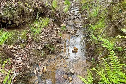 Lot 22 Meadow Brook Trail, Morganton, GA 30560 - Photo 28