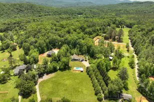 3181 Sugar Creek Rd, Blue Ridge, GA 30513 - Photo 68