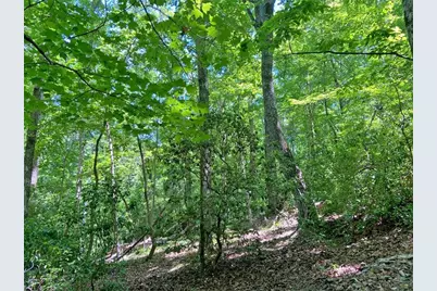 0 Hickory Nut Trail, Dahlonega, GA 30533 - Photo 2