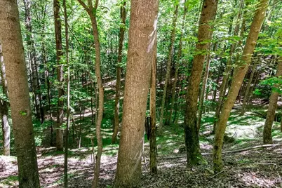 Lot 26 Estates Drive, Ellijay, GA 30536 - Photo 4