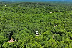 532 Cherokee Trl, Big Canoe, GA 30143 - Photo 54