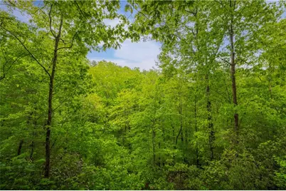 203 Mountain View Drive, Cherry Log, GA 30522 - Photo 30